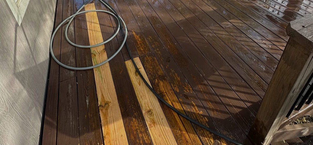 Why Killing Organics & Brightening Matter Before You Stain Your Deck