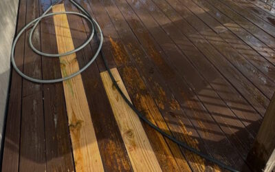 Why Killing Organics & Brightening Matter Before You Stain Your Deck